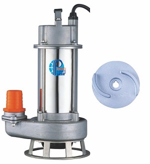 SSQ Type Cast Stainless Sewage Pump (SCS13)